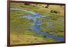 Okavango Delta Aerial-Michele Westmorland-Framed Photographic Print