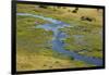 Okavango Delta Aerial-Michele Westmorland-Framed Photographic Print