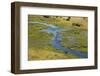 Okavango Delta Aerial-Michele Westmorland-Framed Photographic Print