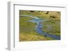 Okavango Delta Aerial-Michele Westmorland-Framed Photographic Print