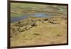 Okavango Delta Aerial-Michele Westmorland-Framed Photographic Print