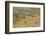 Okavango Delta Aerial-Michele Westmorland-Framed Photographic Print