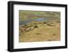 Okavango Delta Aerial-Michele Westmorland-Framed Photographic Print