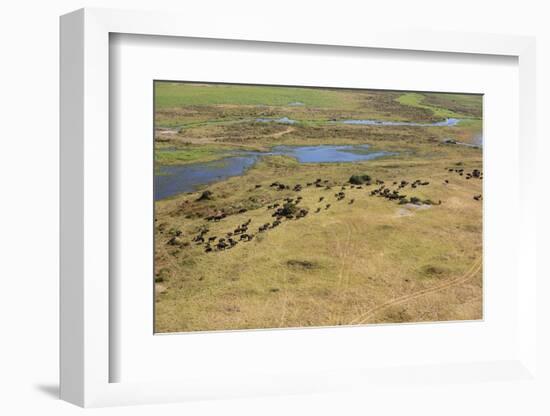 Okavango Delta Aerial-Michele Westmorland-Framed Photographic Print