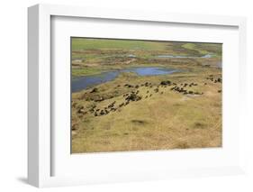 Okavango Delta Aerial-Michele Westmorland-Framed Photographic Print