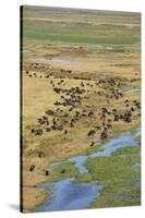 Okavango Delta Aerial-Michele Westmorland-Stretched Canvas