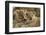 Okavango Delta, Botswana. A Close-up of Two Lion Cubs-Janet Muir-Framed Photographic Print