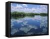 Okavango Delta, Botswana, Africa-Jenny Pate-Framed Stretched Canvas