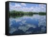 Okavango Delta, Botswana, Africa-Jenny Pate-Framed Stretched Canvas