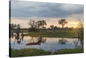 Okavango Delta, Botswana, Africa-Angelo Cavalli-Stretched Canvas