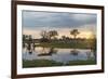 Okavango Delta, Botswana, Africa-Angelo Cavalli-Framed Photographic Print