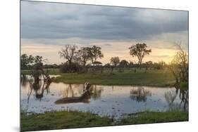 Okavango Delta, Botswana, Africa-Angelo Cavalli-Mounted Photographic Print