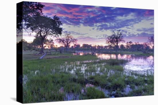 Okavango Delta, Botswana, Africa-Angelo Cavalli-Stretched Canvas