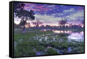 Okavango Delta, Botswana, Africa-Angelo Cavalli-Framed Stretched Canvas