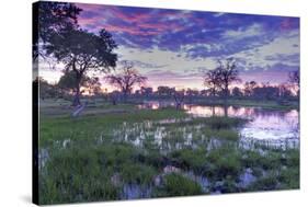 Okavango Delta, Botswana, Africa-Angelo Cavalli-Stretched Canvas