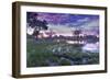 Okavango Delta, Botswana, Africa-Angelo Cavalli-Framed Photographic Print