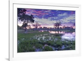 Okavango Delta, Botswana, Africa-Angelo Cavalli-Framed Photographic Print