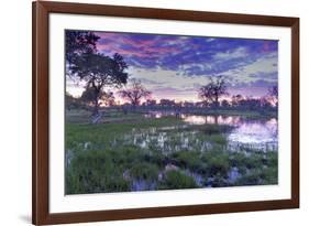 Okavango Delta, Botswana, Africa-Angelo Cavalli-Framed Photographic Print