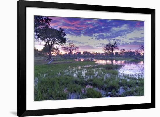 Okavango Delta, Botswana, Africa-Angelo Cavalli-Framed Photographic Print