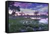 Okavango Delta, Botswana, Africa-Angelo Cavalli-Framed Stretched Canvas