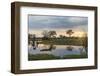 Okavango Delta, Botswana, Africa-Angelo Cavalli-Framed Photographic Print