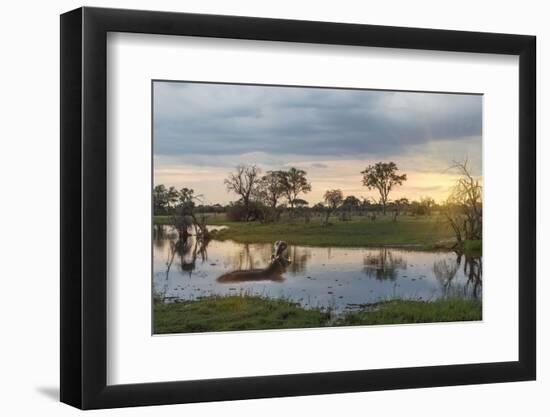 Okavango Delta, Botswana, Africa-Angelo Cavalli-Framed Photographic Print