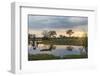 Okavango Delta, Botswana, Africa-Angelo Cavalli-Framed Photographic Print