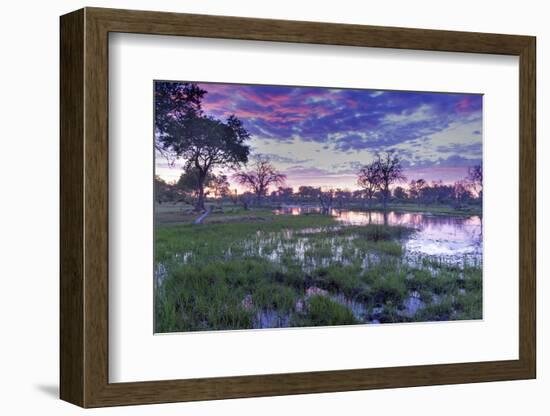 Okavango Delta, Botswana, Africa-Angelo Cavalli-Framed Photographic Print