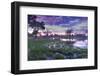 Okavango Delta, Botswana, Africa-Angelo Cavalli-Framed Photographic Print