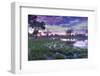 Okavango Delta, Botswana, Africa-Angelo Cavalli-Framed Photographic Print