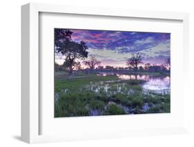 Okavango Delta, Botswana, Africa-Angelo Cavalli-Framed Photographic Print