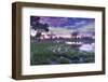 Okavango Delta, Botswana, Africa-Angelo Cavalli-Framed Premium Photographic Print