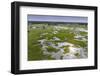 Okavango Delta, Botswana, Africa-Angelo Cavalli-Framed Photographic Print