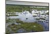 Okavango Delta, Botswana, Africa-Angelo Cavalli-Mounted Photographic Print