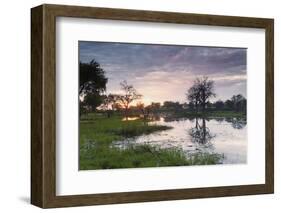 Okavango Delta, Botswana, Africa-Angelo Cavalli-Framed Photographic Print