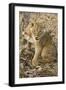 Okavango Delta, Botswana. Close-up of Lion Cub with Paw Stuck in Twigs-Janet Muir-Framed Photographic Print