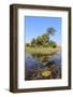 Okavango Delta Water and Plant Landscape.-Carlos Neto-Framed Photographic Print