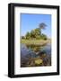 Okavango Delta Water and Plant Landscape.-Carlos Neto-Framed Photographic Print