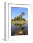 Okavango Delta Water and Plant Landscape.-Carlos Neto-Framed Photographic Print