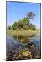 Okavango Delta Water and Plant Landscape.-Carlos Neto-Mounted Photographic Print