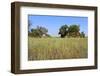 Okavango Delta Water Landscape.-Carlos Neto-Framed Photographic Print