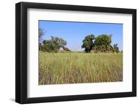 Okavango Delta Water Landscape.-Carlos Neto-Framed Photographic Print