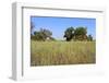 Okavango Delta Water Landscape.-Carlos Neto-Framed Photographic Print