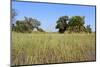 Okavango Delta Water Landscape.-Carlos Neto-Mounted Photographic Print