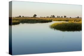 Okavango Delta-Michele Westmorland-Stretched Canvas