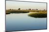 Okavango Delta-Michele Westmorland-Mounted Photographic Print