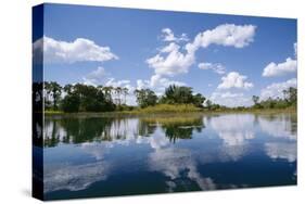 Okavango Lagoon Reflection-null-Stretched Canvas