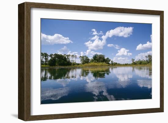 Okavango Lagoon Reflection-null-Framed Photographic Print