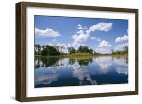 Okavango Lagoon Reflection-null-Framed Photographic Print