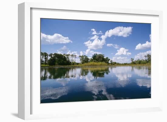 Okavango Lagoon Reflection-null-Framed Photographic Print